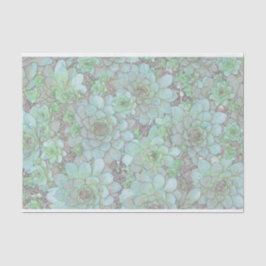 Hühner und Hühner Seidenpapier