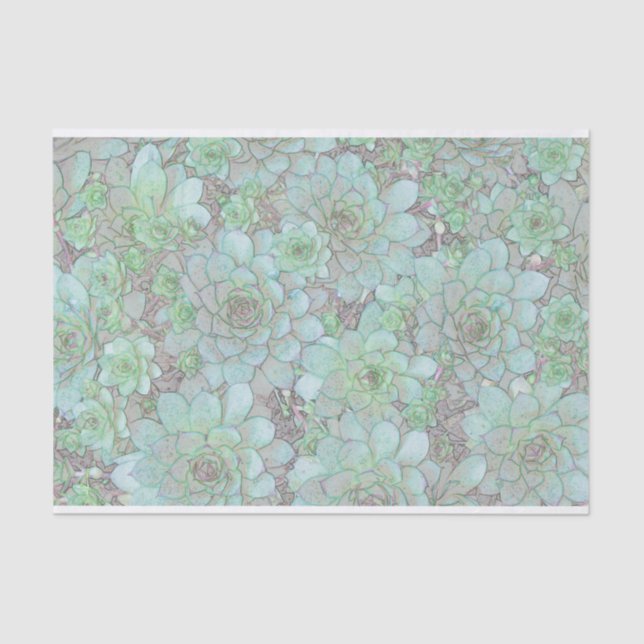 Hühner und Hühner Seidenpapier (Vorderseite)