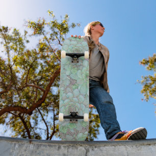 Hühner Und Küken Skateboard