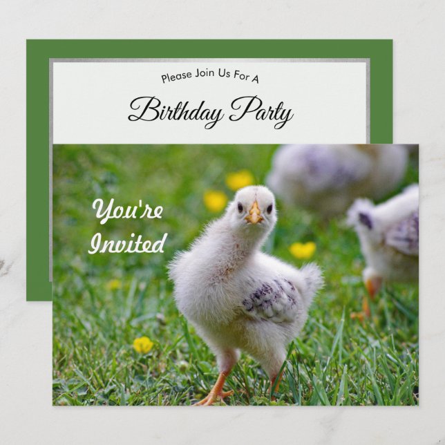 HühnerBaby Chick Foto Geburtstag Einladung (Vorne/Hinten)