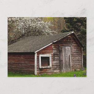 Hühnercoop im Frühling Postkarte