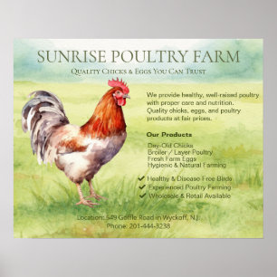 Hühnerfarm poster