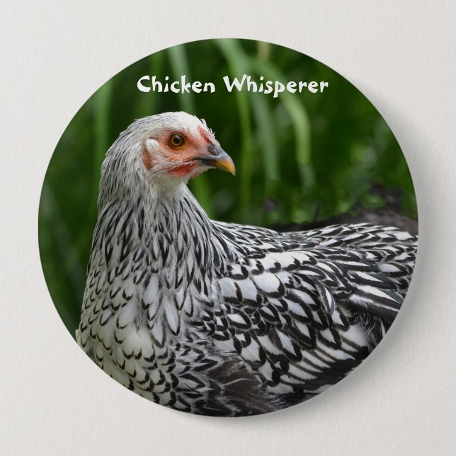 Hühnerflüsterknopf Button (Vorderseite)