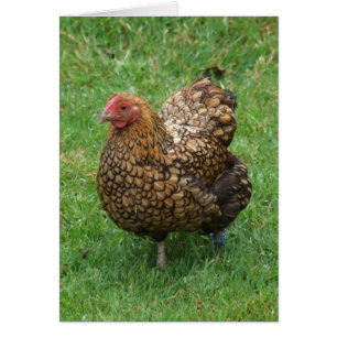 Hühnerkarte