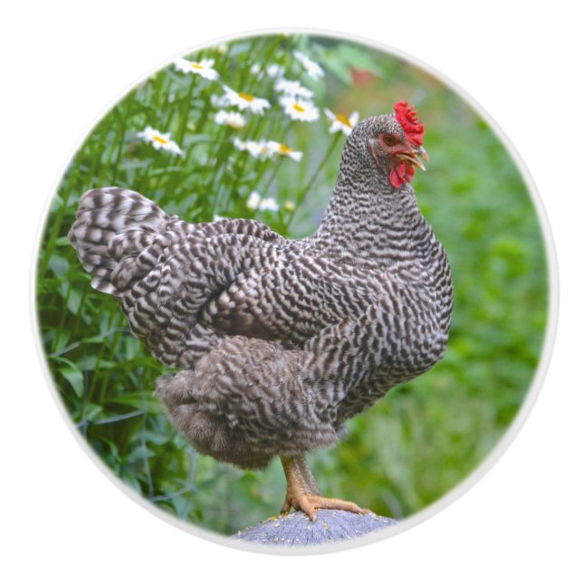 Hühnerknochen Keramikknauf (Vorderseite)