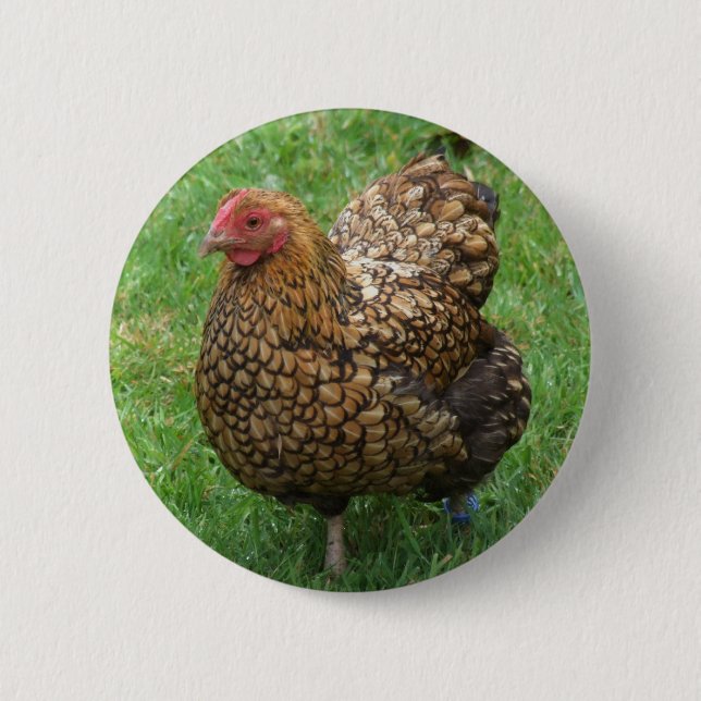 Hühnerknopf Button (Vorderseite)