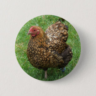 Hühnerknopf Button