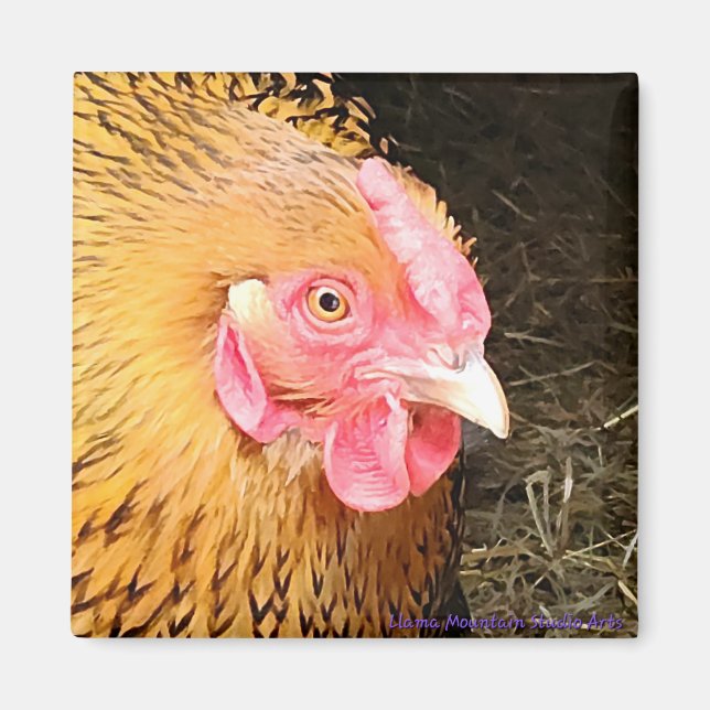 Hühnermagnet #1 Golden Laced Wyandotte Magnet (Vorne)