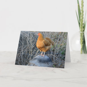 Hühnernotecard Karte