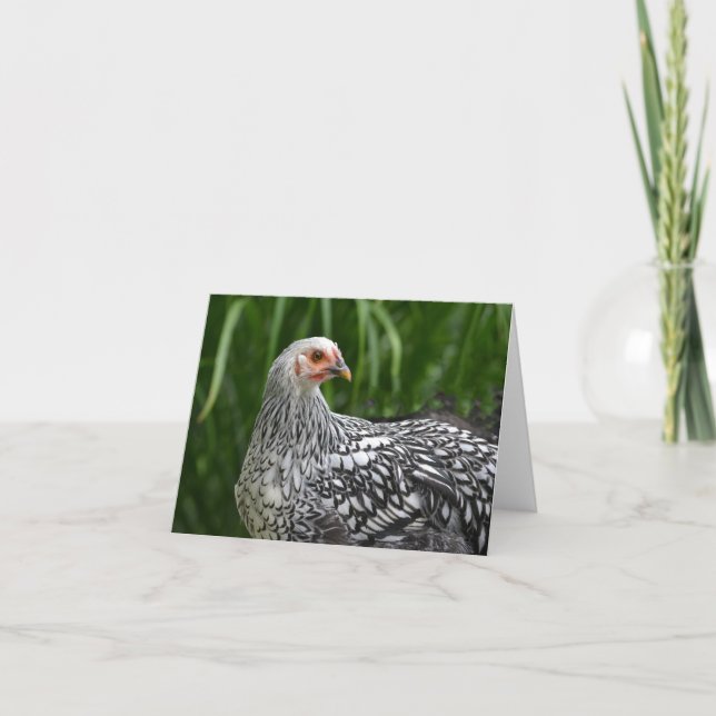 Hühnernotecard Karte (Vorderseite)