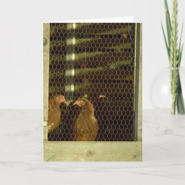 Hühnerstall-Karte Karte (Vorderseite)