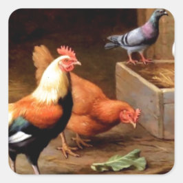 Hühnertauben Quadratischer Aufkleber