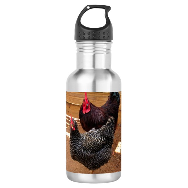 Hühnerwasserflasche Edelstahlflasche (Vorderseite)