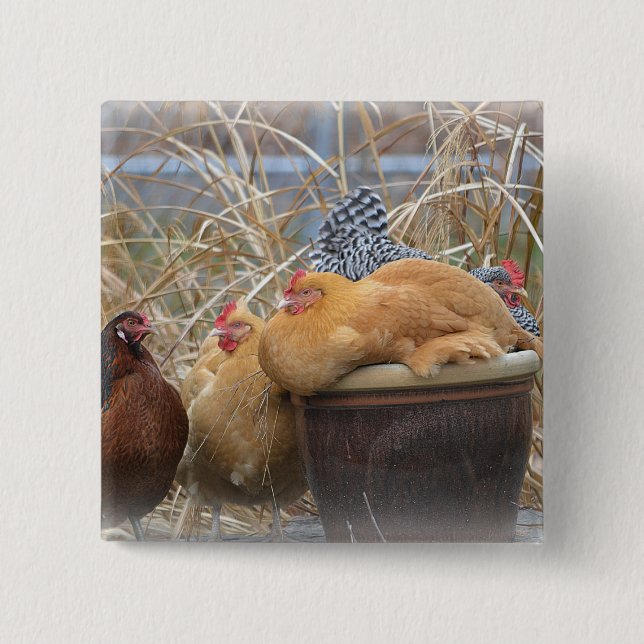 Hühnerzange Button (Vorderseite)