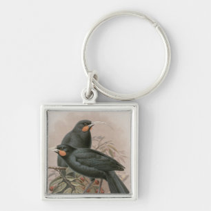 Huia Schlüsselanhänger