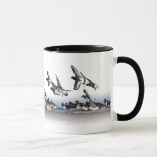 Huîtriers de alimentation tasse