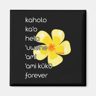 Hula Dancer Shirt Hula Tanzschritte Magnet