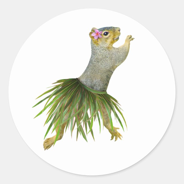Hula-Eichhörnchenaufkleber Runder Aufkleber (Vorderseite)