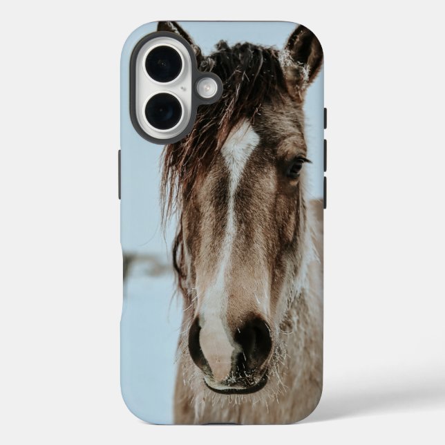 Hülle für Pferd-Telefon iPhone 16 (Rückseite)