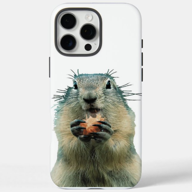 HüLLEN (Rückseite)