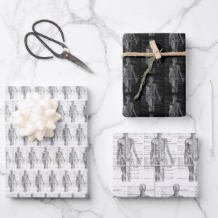 Human Anatomy Medical chart Geschenkpapier Set