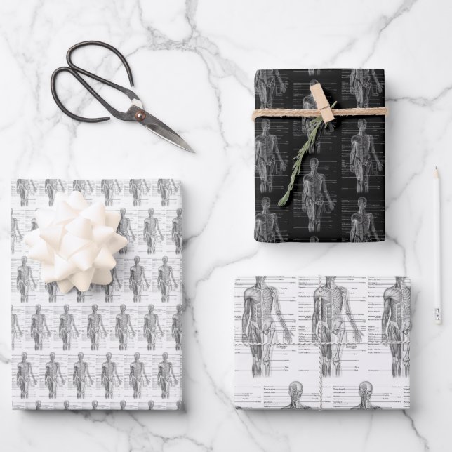 Human Anatomy Medical chart Geschenkpapier Set (Vorderseite)