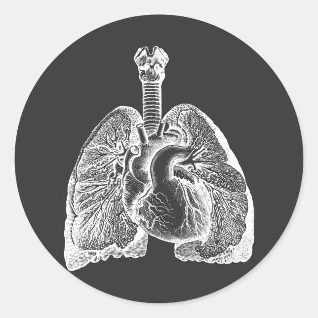 Human Biology Anatomy Heart Lungs Science Art Runder Aufkleber (Vorderseite)