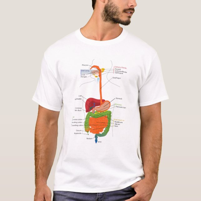 Human Body Digestive System Gastrointestinal Tract T-Shirt (Vorderseite)