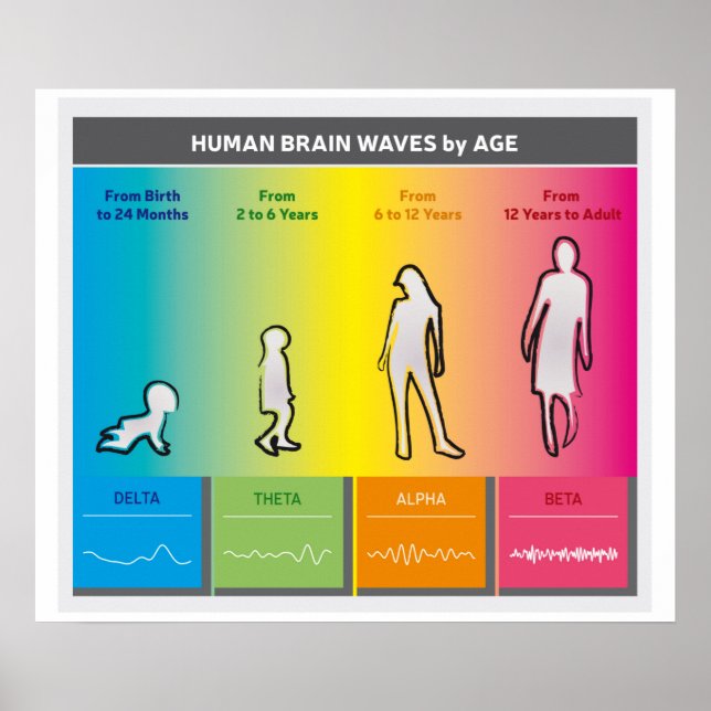 Human Brain Waves by Age Chart Diagram Rainbow Poster (Vorne)