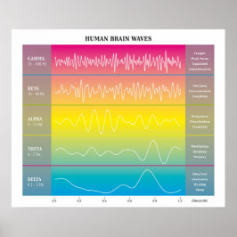 Human Brain Waves Diagram - Rainbow Colors Poster
