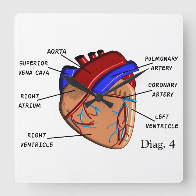 Human Heart Clock Diagram Quadratische Wanduhr (Vorderseite)