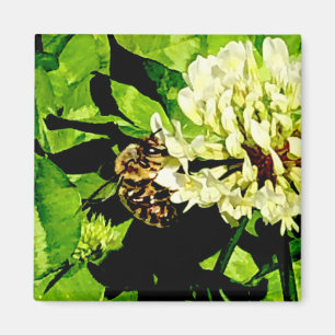 Humble Bee Magnet