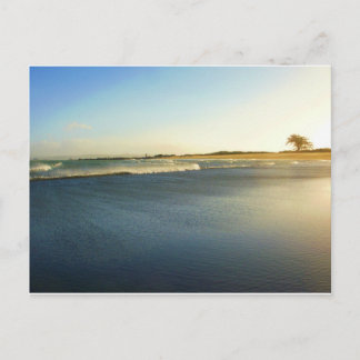 Humboldt Bay, Eureka, Ca. Postkarte