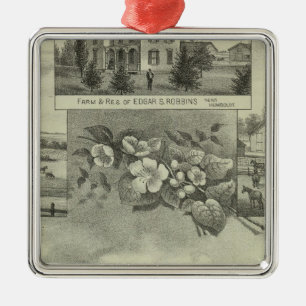Humboldt, Kansas Silbernes Ornament