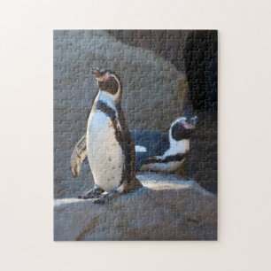 Humboldt Penguin Jigsaw-Puzzle