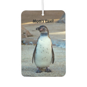 Humboldt Penguin Lufterfrischer für Autos