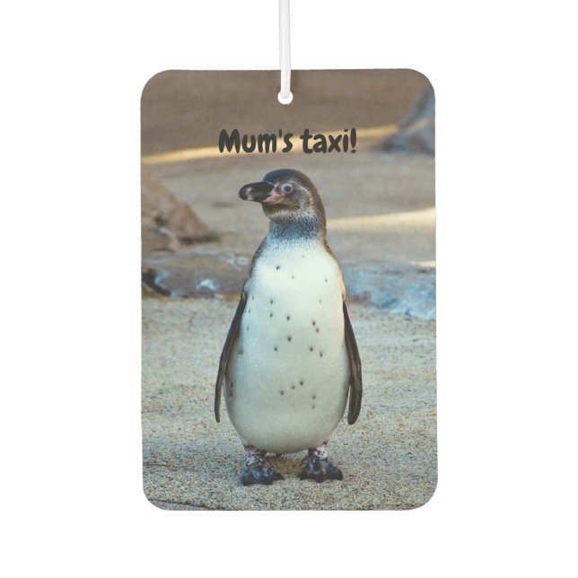 Humboldt Penguin Lufterfrischer für Autos (Vorderseite)