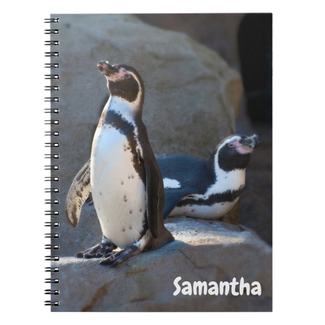 Humboldt Penguins Spiralnotebook Notizblock (Vorderseite)