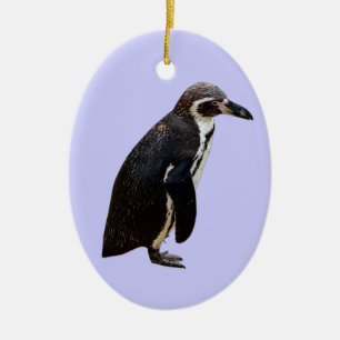 Humboldt-Pinguin, der hängende Verzierung hängt Keramik Ornament