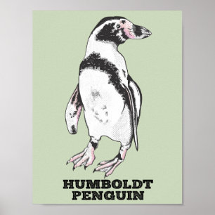 Humboldt-Pinguin Poster