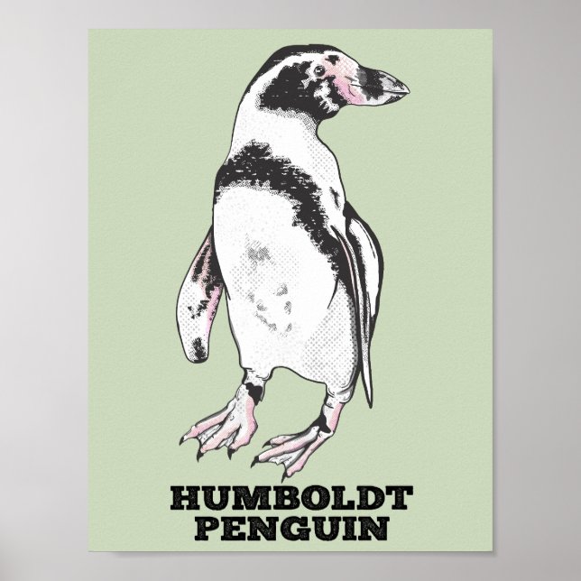 Humboldt-Pinguin Poster (Vorne)