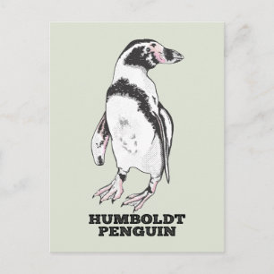 Humboldt-Pinguin Postkarte