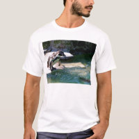 Humboldt-Pinguin