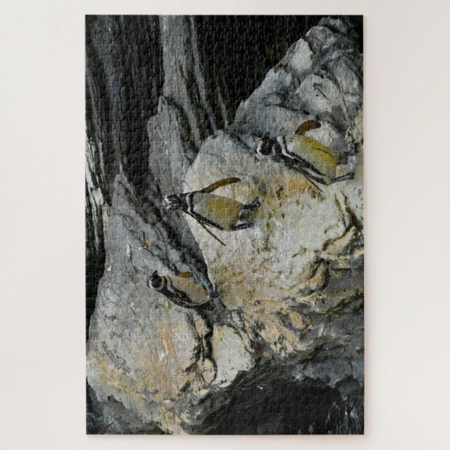 Humboldt-Pinguine. (Vertikal)