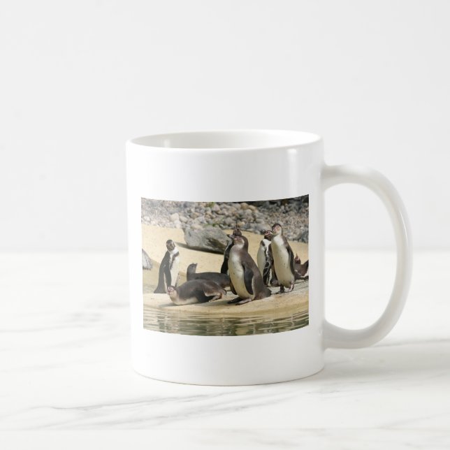 Humboldt-Pinguine Kaffeetasse (Rechts)