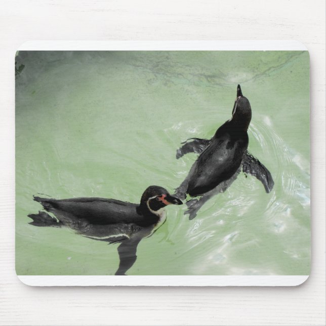Humboldt-Pinguine Mousepad (Vorne)
