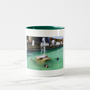 Humboldt-Pinguine und -Brunnen Zweifarbige Tasse