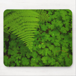 Humboldt Redwoods State Park Mousepad