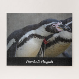 Humbolzen Penguin im Zoo von Drusillas in East Sus