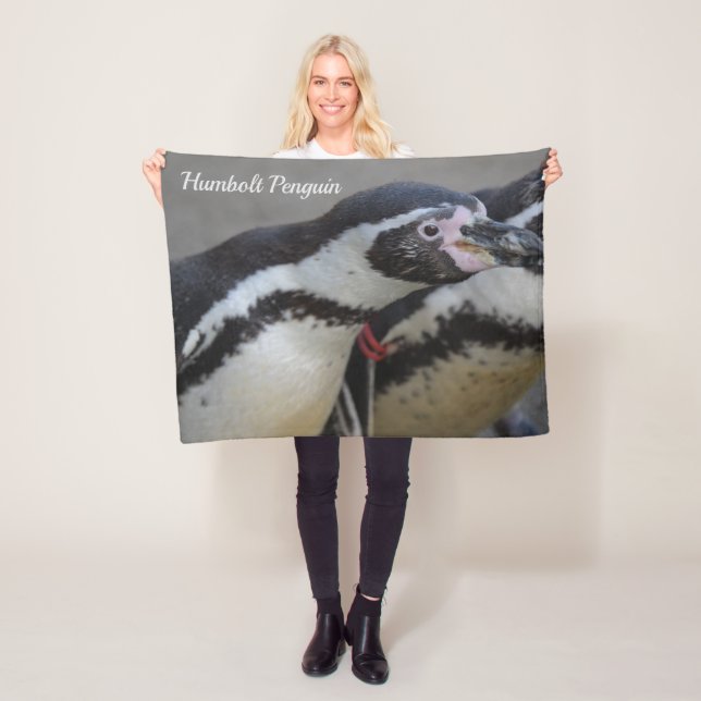 Humbolzen Penguin im Zoo von Drusillas in East Sus Fleecedecke (Beispiel)